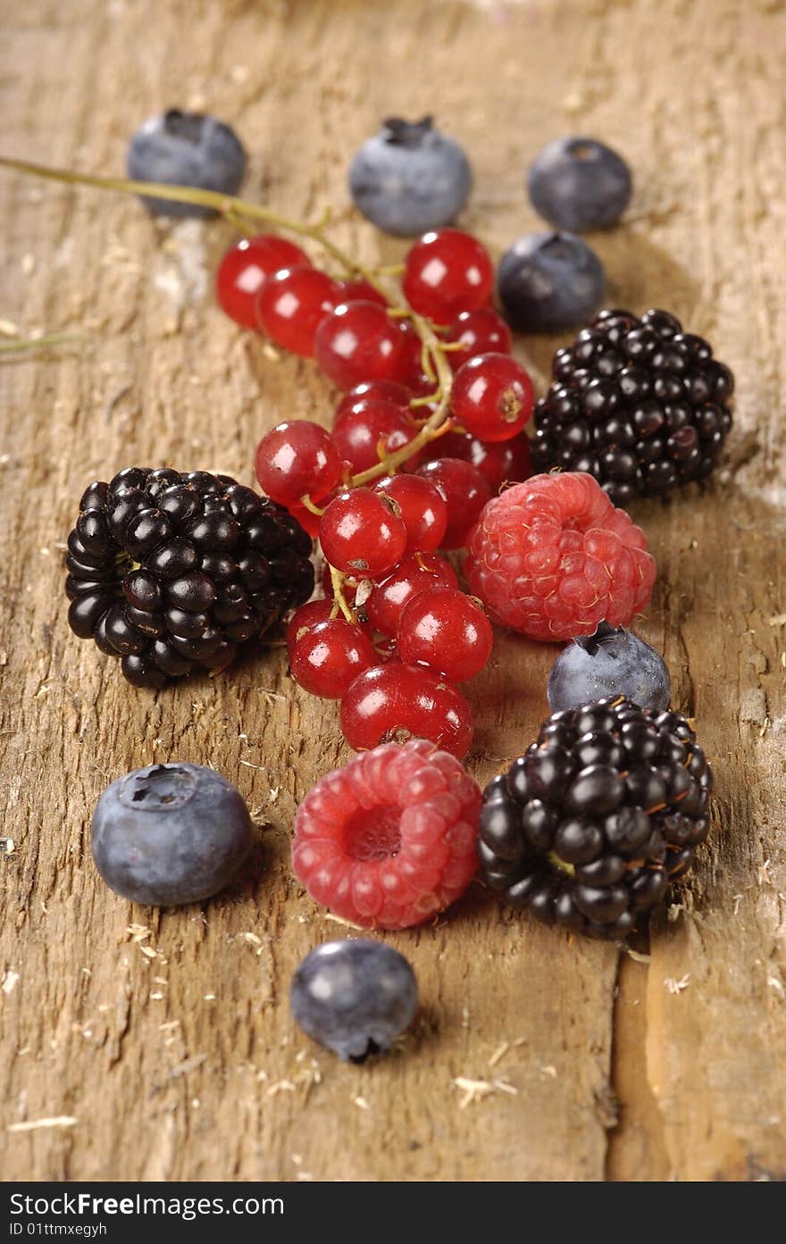 Berries