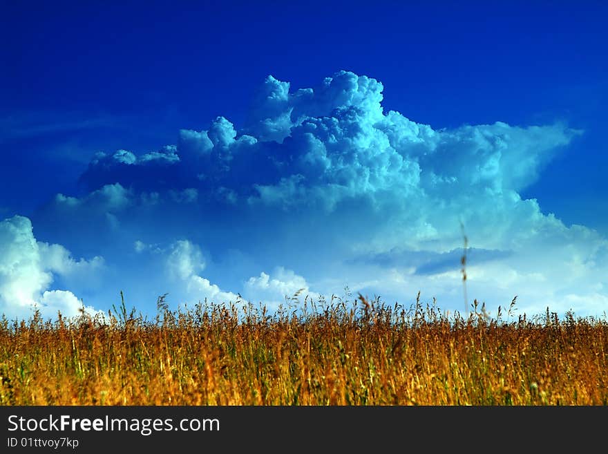 The lonely girl on a farmer field