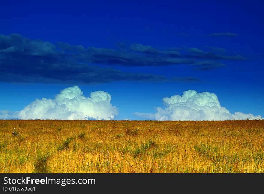 The lonely girl on a farmer field