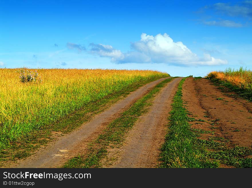 The lonely girl on a farmer field