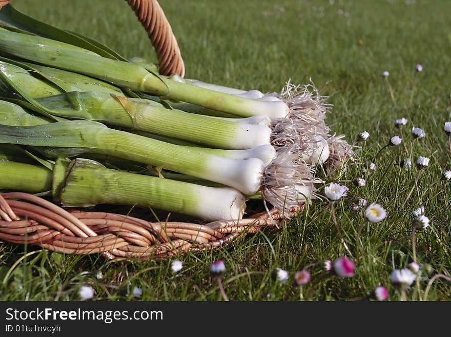 Bunch Of Fresh Leeks Produce