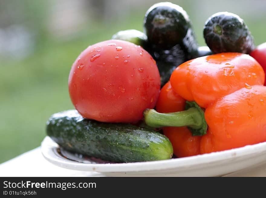 Vegetables On Picnic