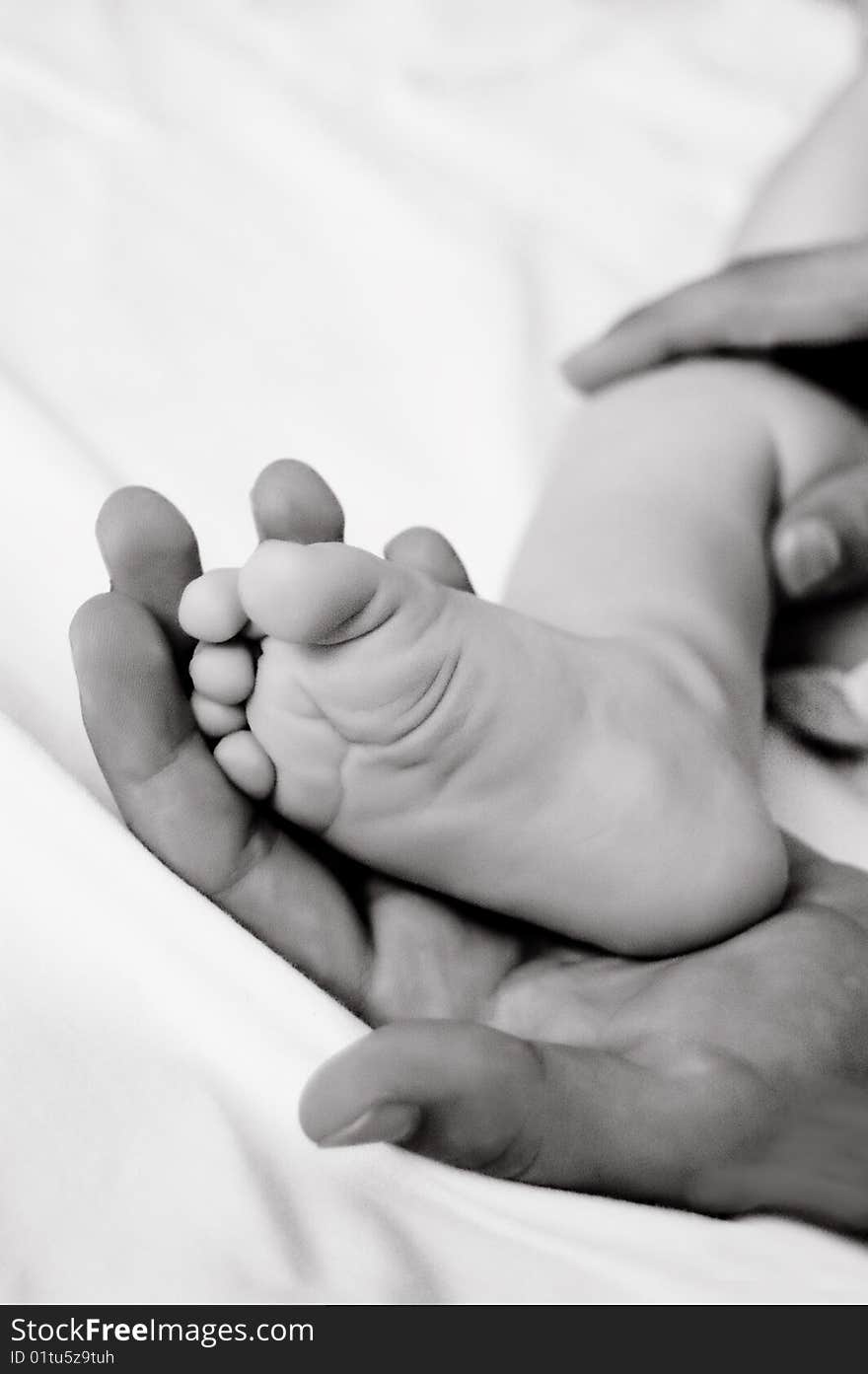 Woman hand holds baby leg