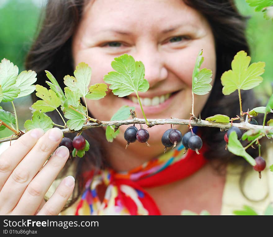 Woman picking berries