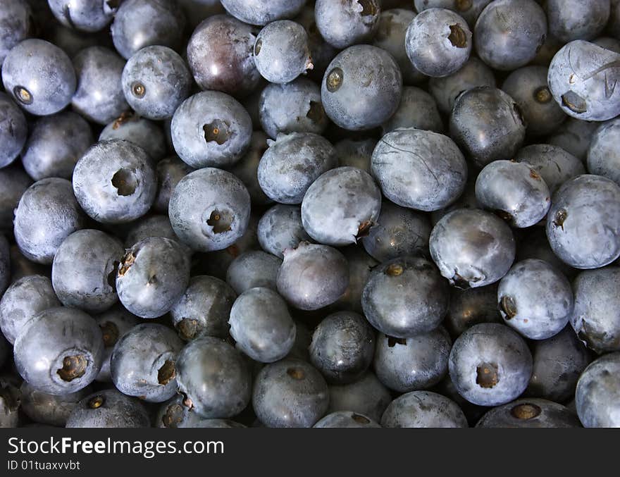 Bilberries