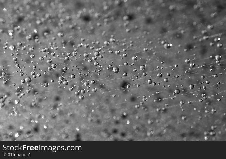 Sparks of water on a spider web on a black background. Sparks of water on a spider web on a black background