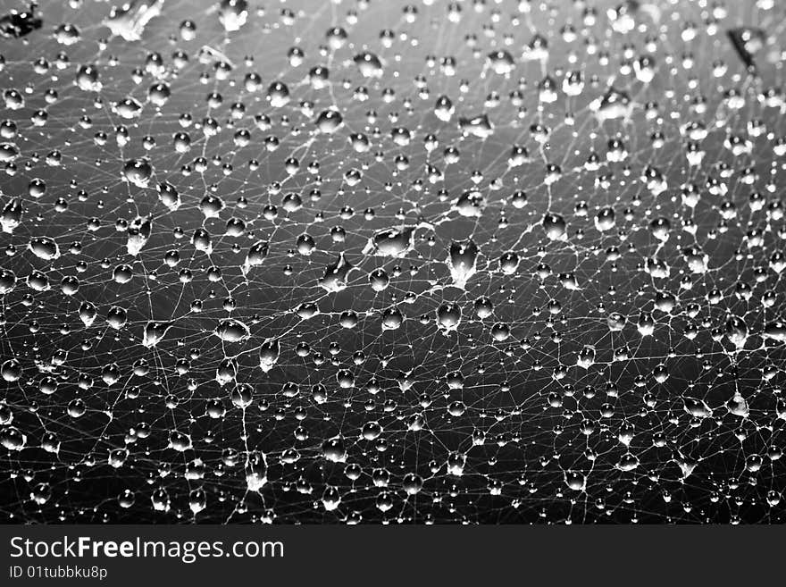 Sparks of water on a spider web on a black background. Sparks of water on a spider web on a black background