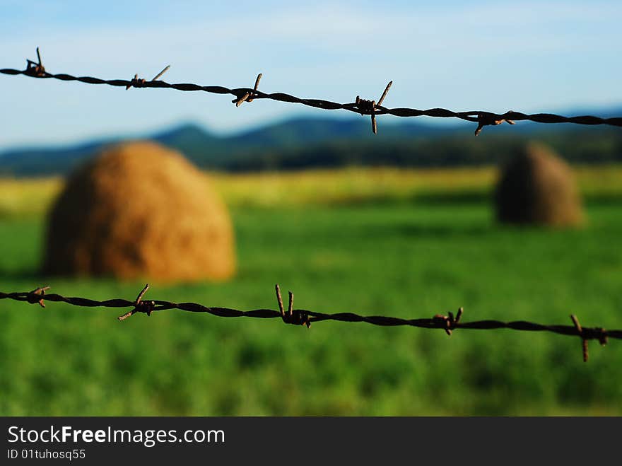 Barbed wire over rural landscape