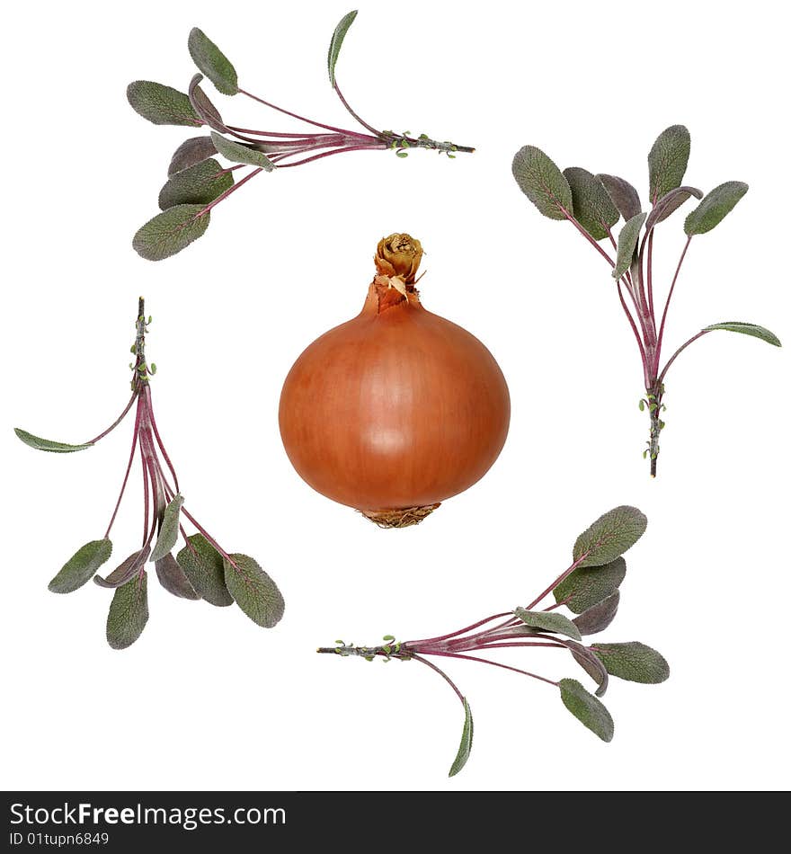 Sage herb leaf sprigs forming an abstract border with a spanish onion in the center, over white background. Sage herb leaf sprigs forming an abstract border with a spanish onion in the center, over white background.