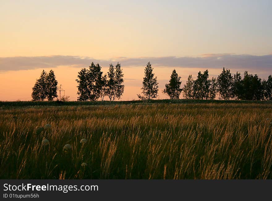 Summer landscape in the evening