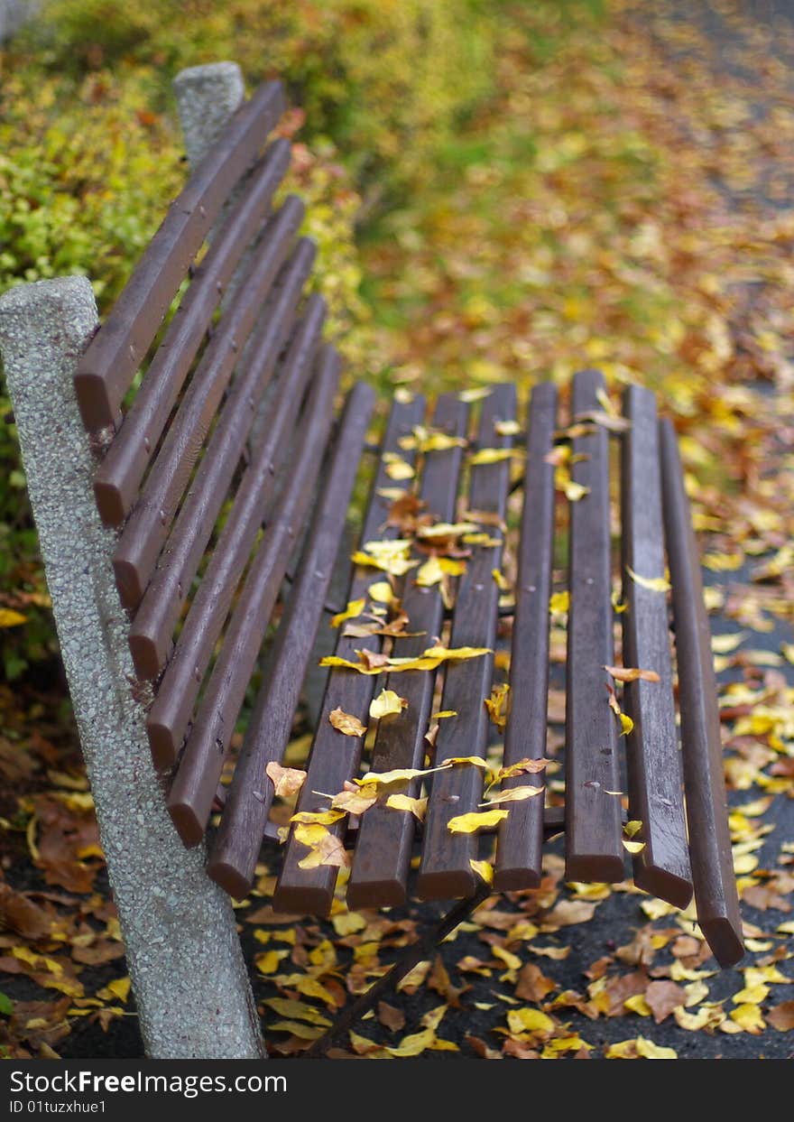 Autumn leaves fallen on a bench. Autumn leaves fallen on a bench