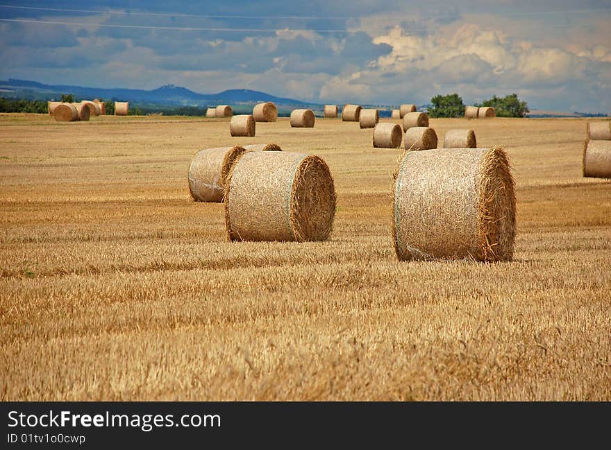 View on fields with straw after harvest. View on fields with straw after harvest