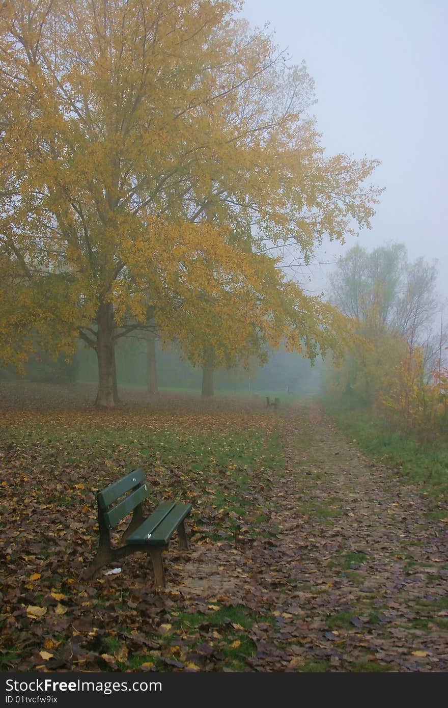 A foggy Day in November. A foggy Day in November