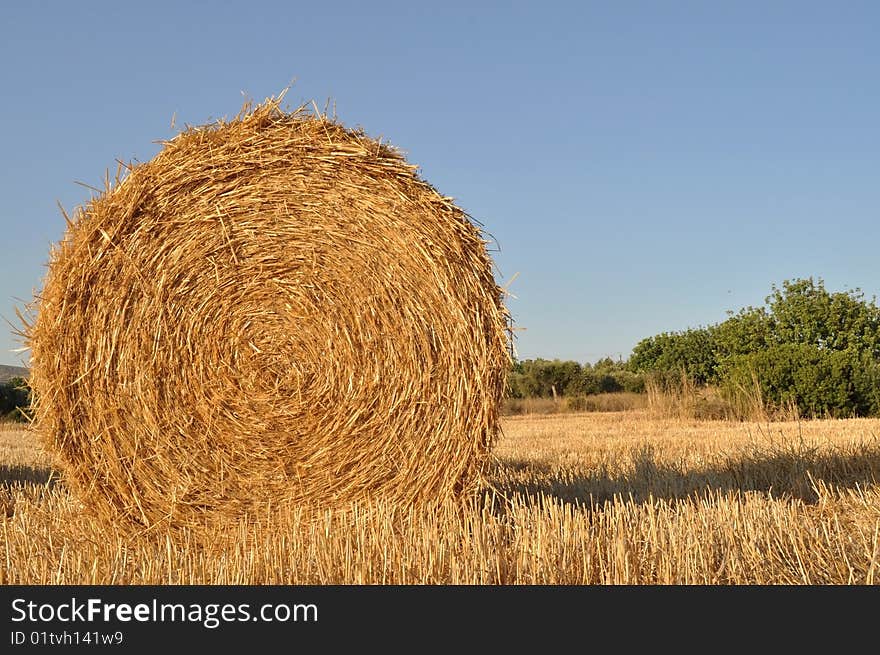 Harvested haystack detail on a wheat-field