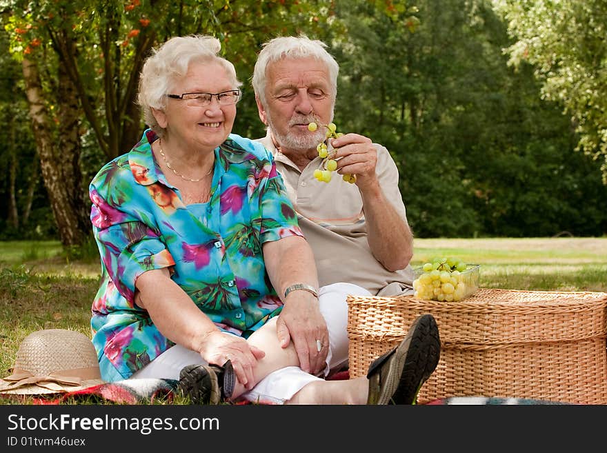 Senior couple picknicking in the park