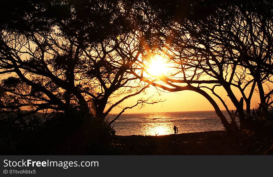 Fish husband when sunset steps on the lively footsteps to go home, front the matching tree shade forms a beautiful picture. Fish husband when sunset steps on the lively footsteps to go home, front the matching tree shade forms a beautiful picture