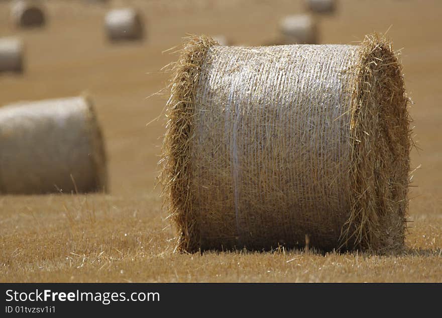 Hay bales