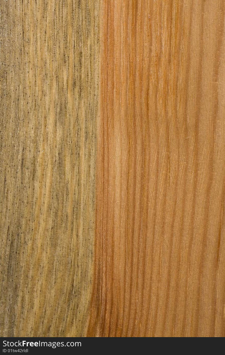 Wood Texture