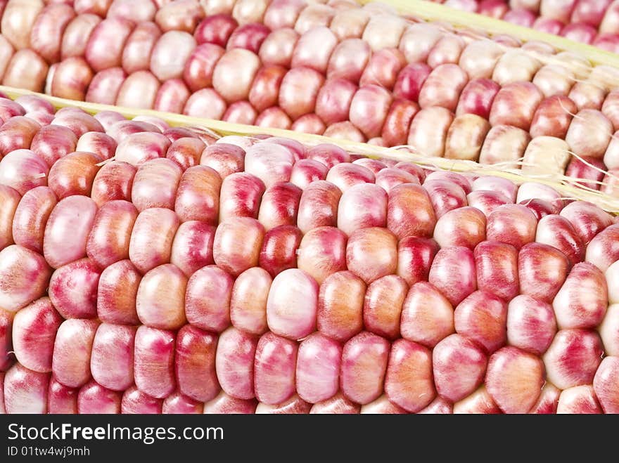 Close up of heirloom corns. Close up of heirloom corns.