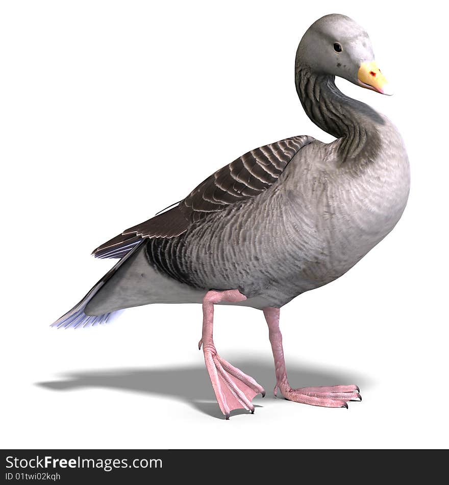 3D rendering of a grey goose with clipping path and shadow over white