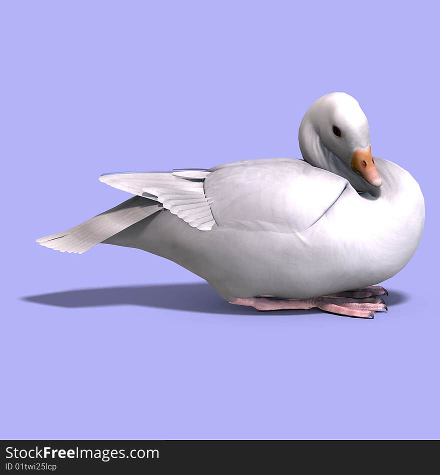 3D rendering of a snow goose with clipping path and shadow over white