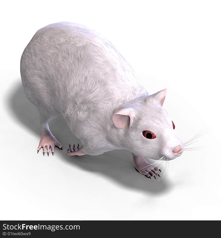 3D rendering of a sweet hamster with clipping path and shadow over white. 3D rendering of a sweet hamster with clipping path and shadow over white