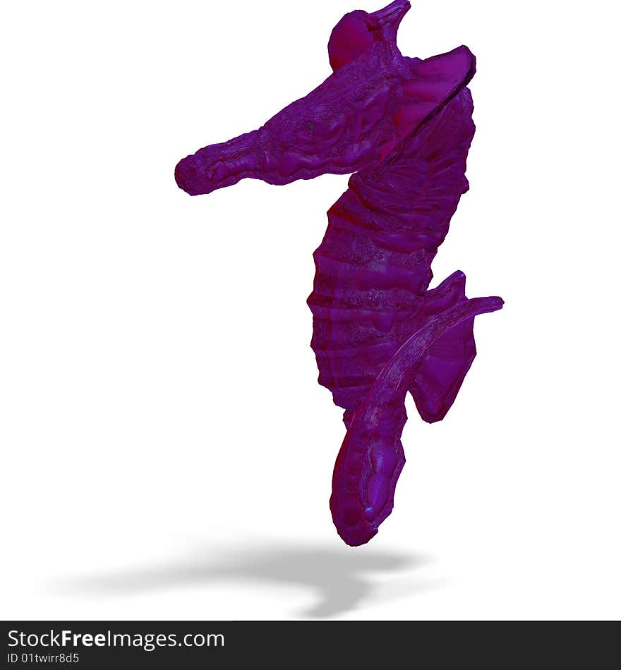 Sea horse or hippocampus. 3D render with clipping path and shadow over white. Sea horse or hippocampus. 3D render with clipping path and shadow over white