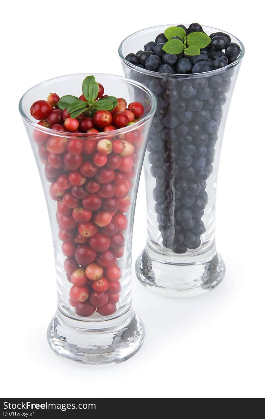 Cranberries and bilberries