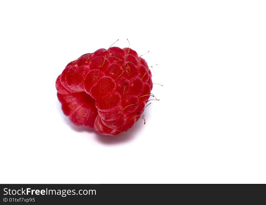 Red raspberry isolated on white