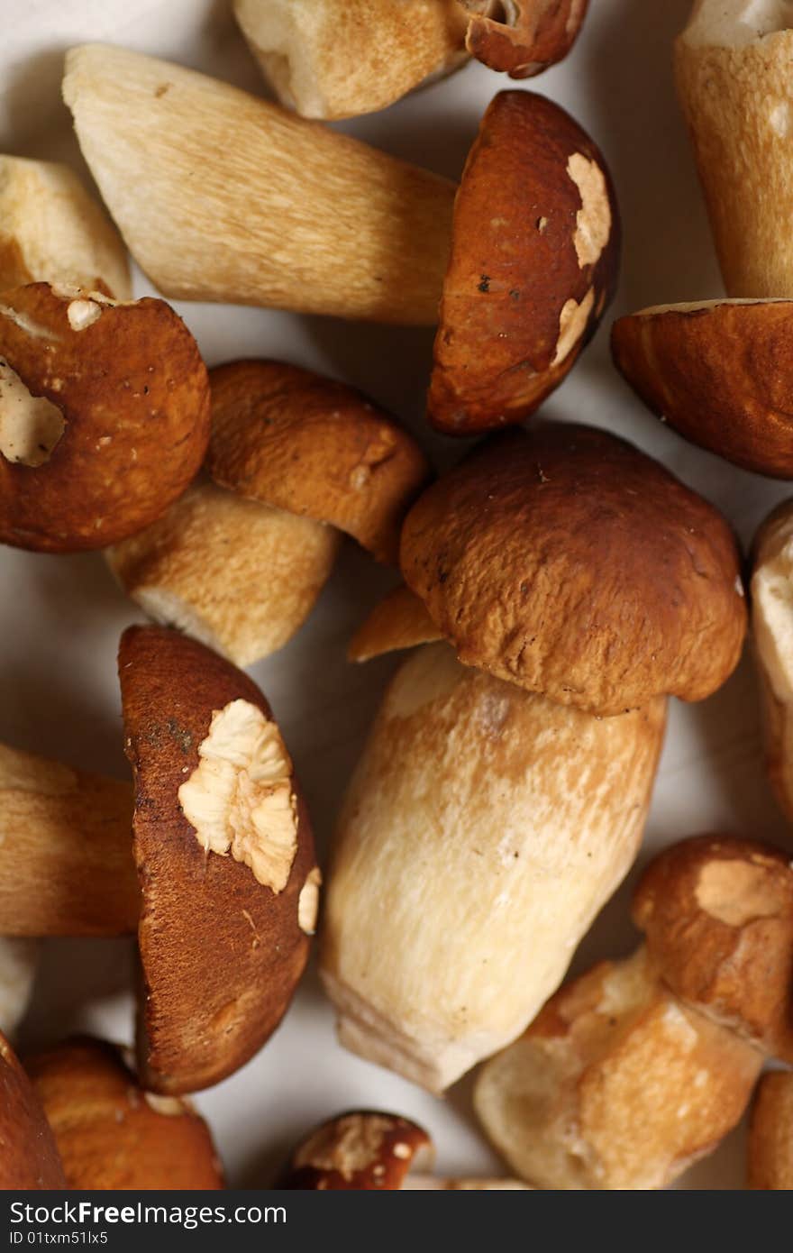 Close up shot of a isolated mushrooms