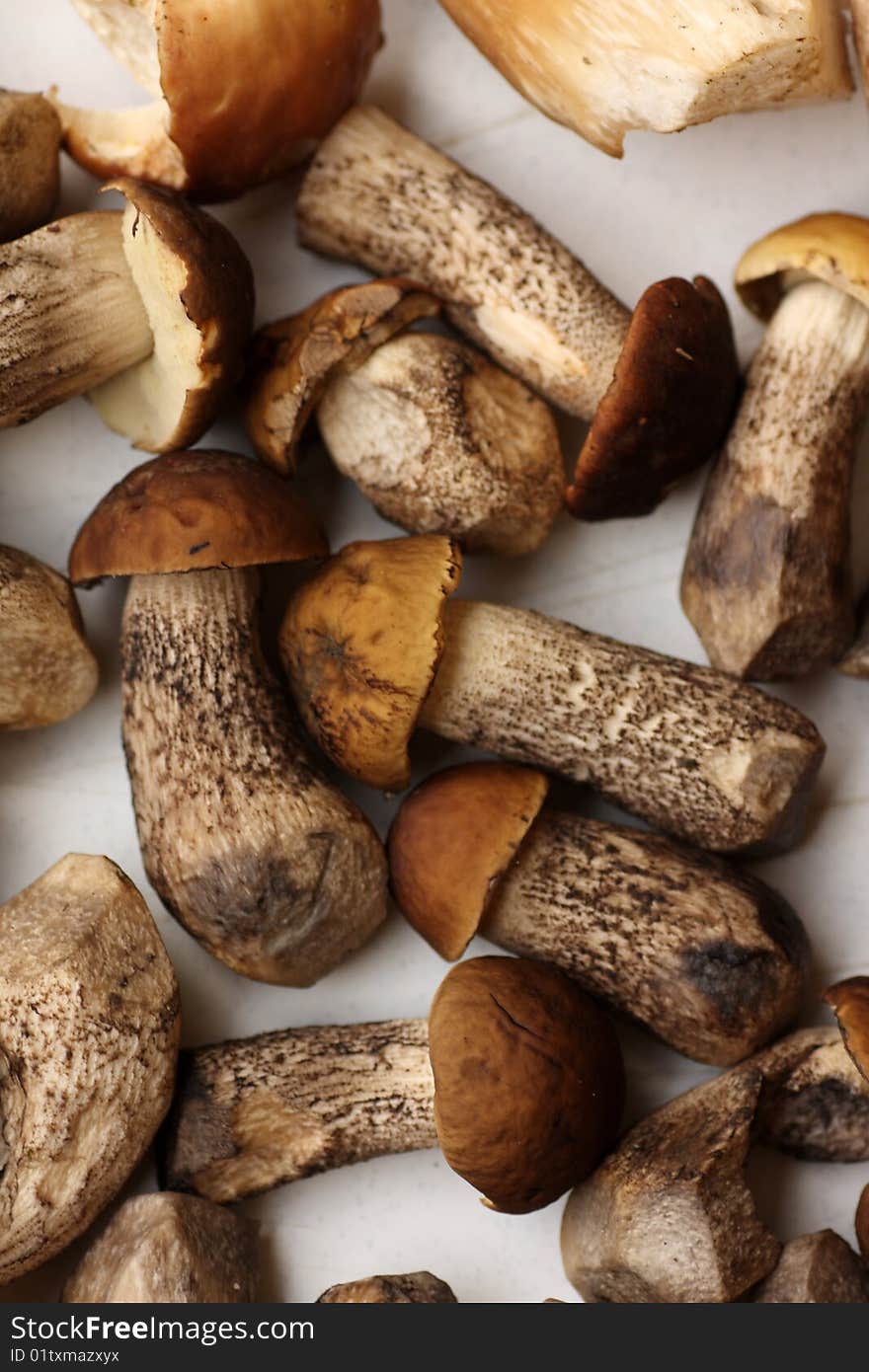 Close up shot of a isolated mushrooms