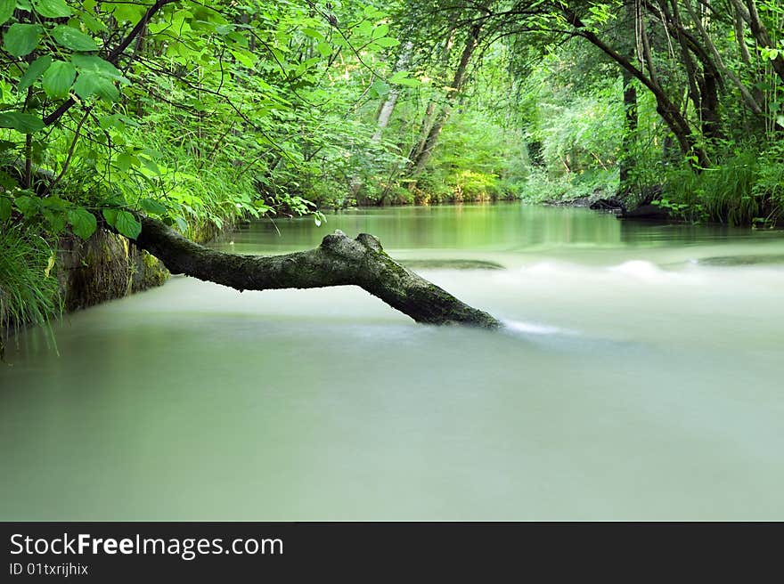 Tree trunk fallen in a milky river