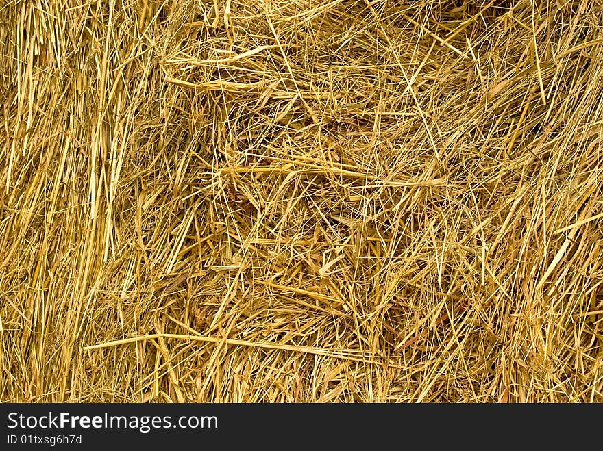 Hay of a new crop