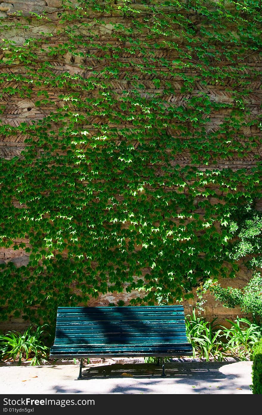 Bench In The Shade