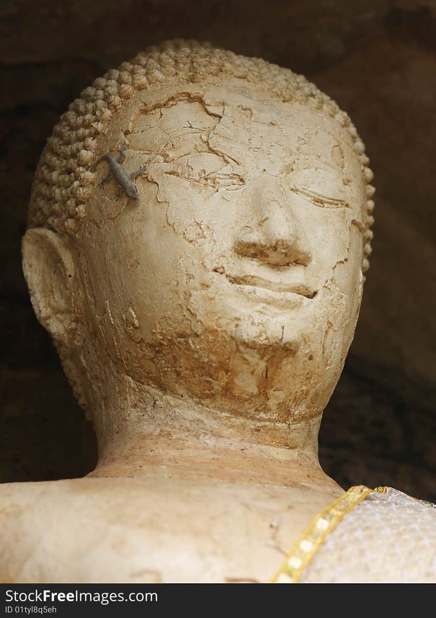 Head of Budha with salamandra lizard on it's face