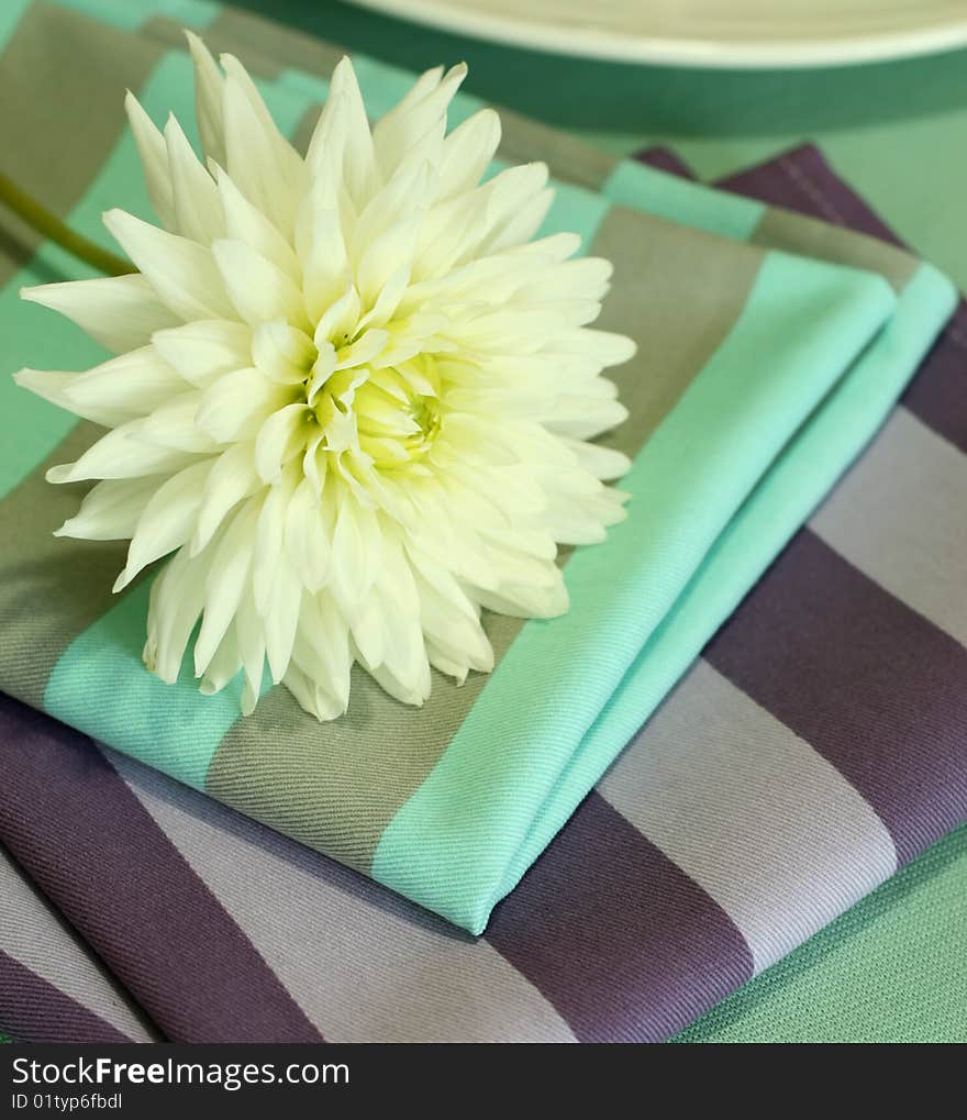 Chrysanthemum And Napkin On Table