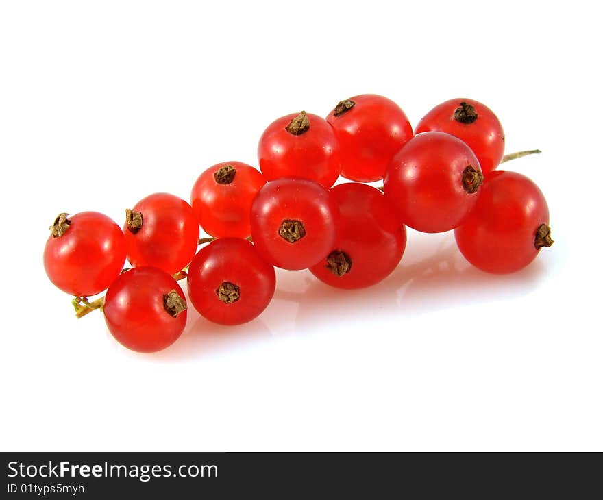 A branch of red currant isolated on white background
поиск