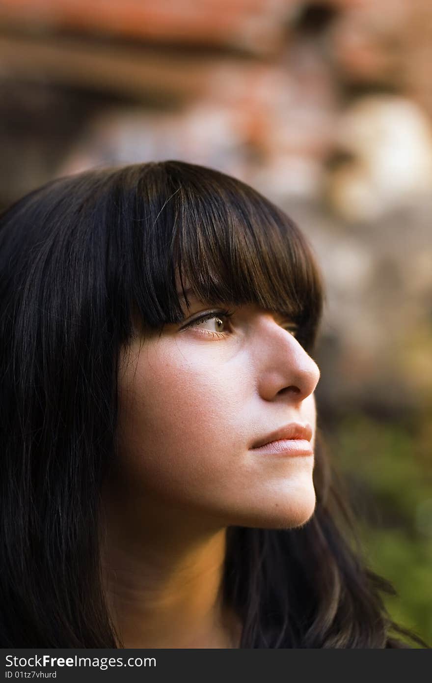 Portrait of a young brownhaired girl. Portrait of a young brownhaired girl