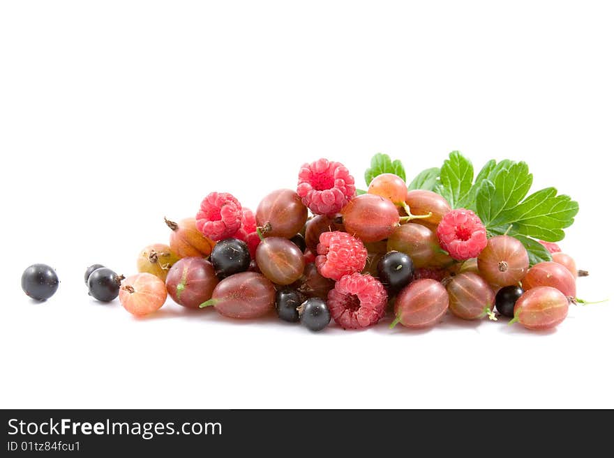 Berries: raspberry, gooseberry and currant isolated