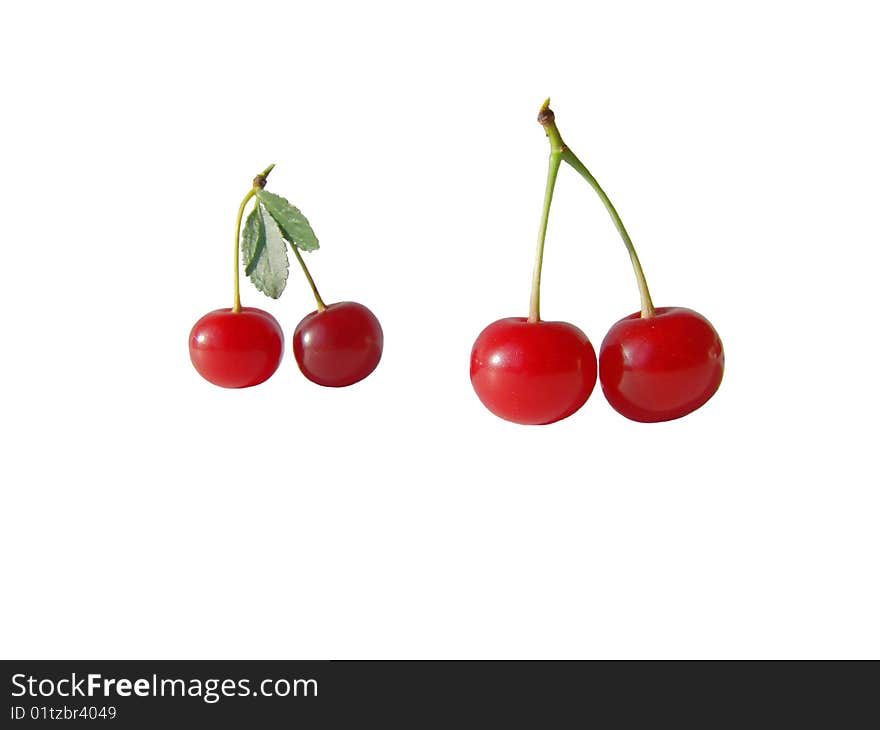 Two couples of cherries at the pedicle isolated on the white background. Two couples of cherries at the pedicle isolated on the white background