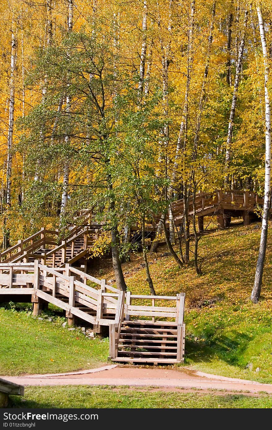 Autumn colors in the park, landscape