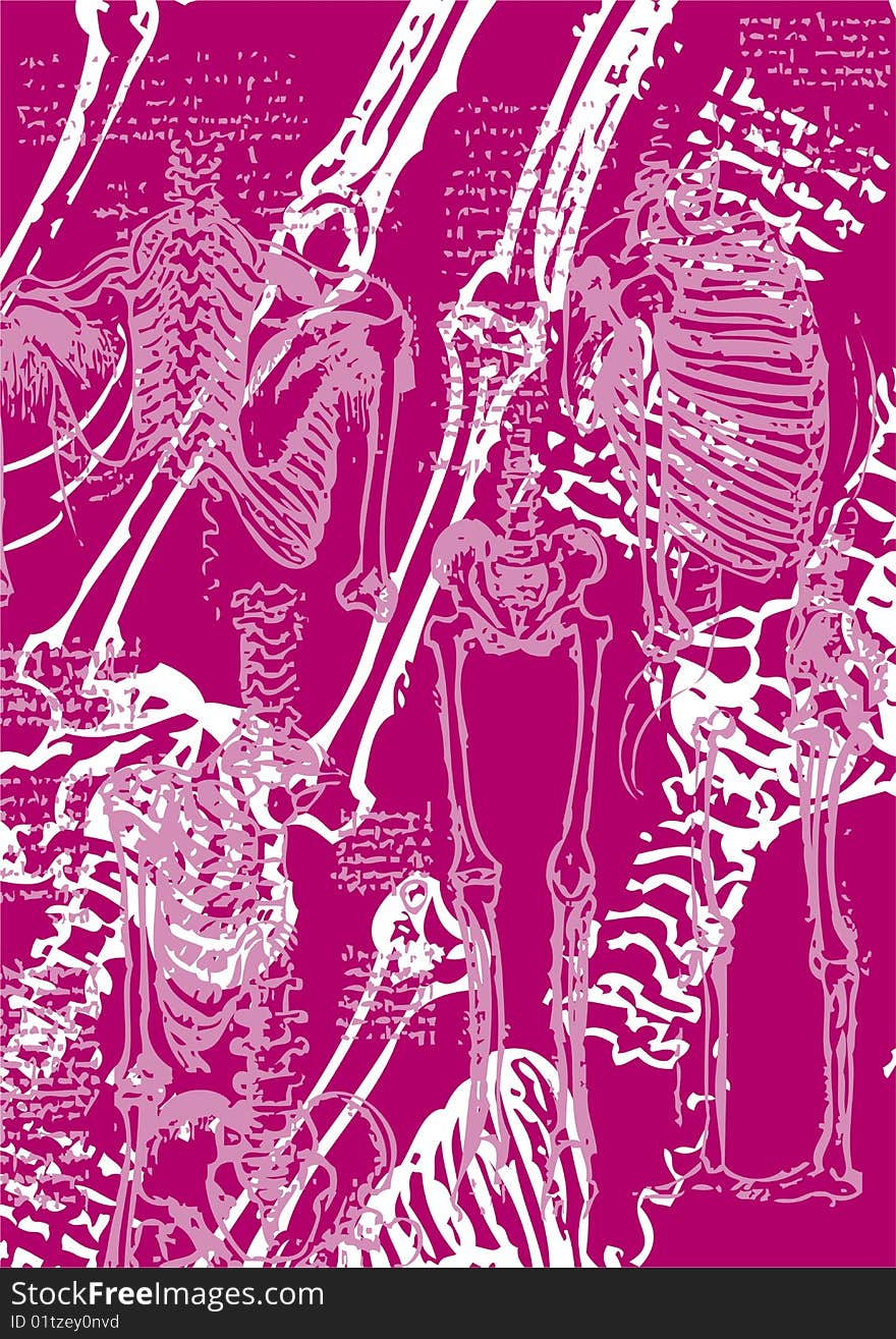 Some skeletons with pink background. Some skeletons with pink background