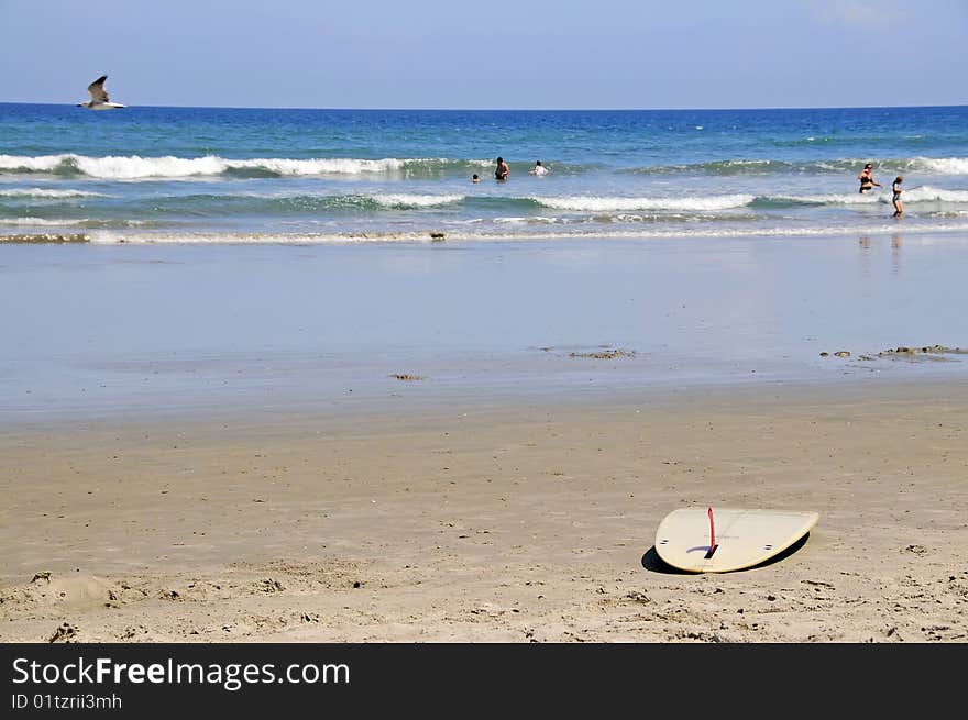 Surfing at cocoa beach, florida