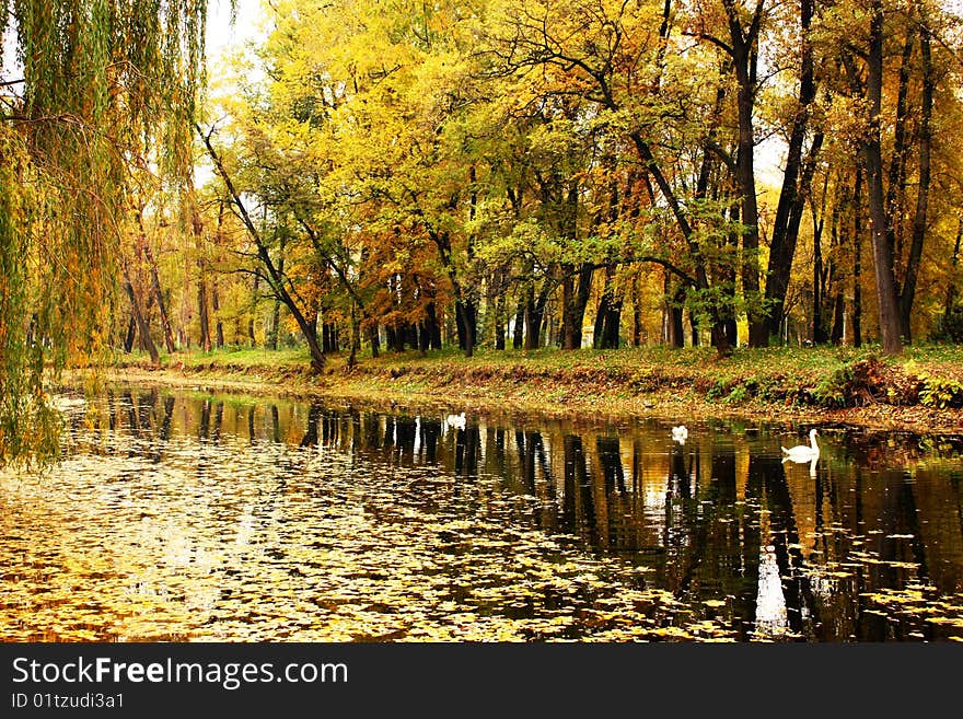 A beautiful hydropark at Ukraine.