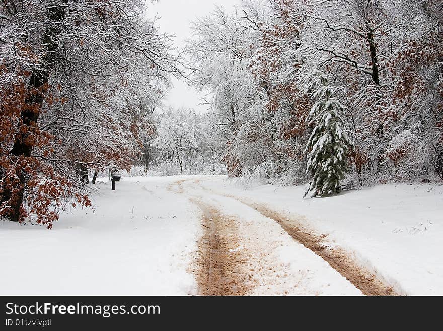 Snowy Road