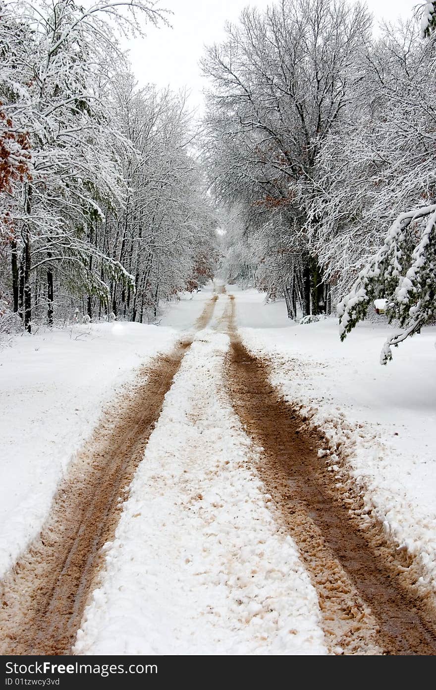 Long Snowy Road