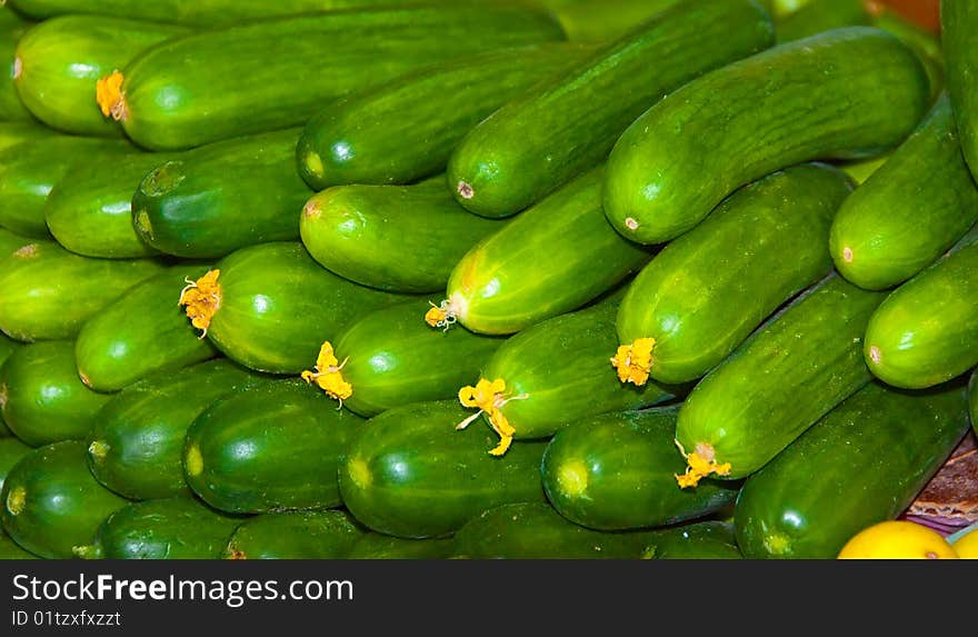 Zucchini Vegetable