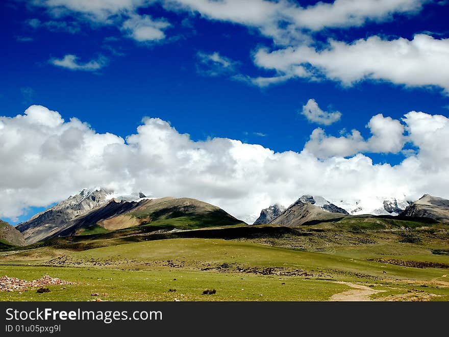 Grassland and sky