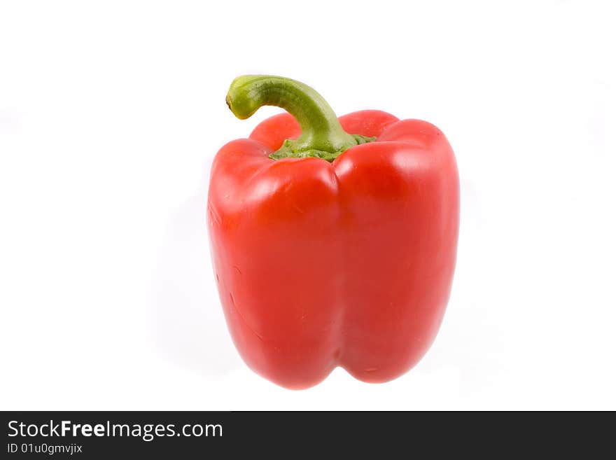 Color pepper on white background. Color pepper on white background