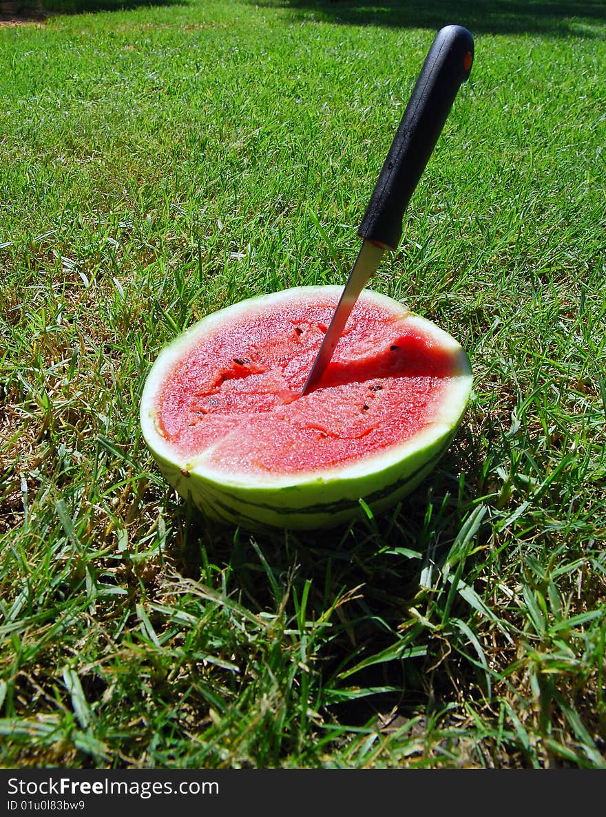 Chopped watermelon